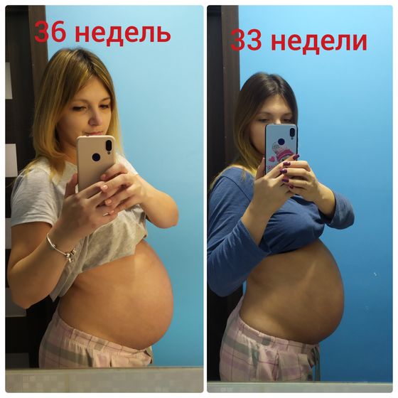 36 недель