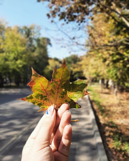 Осень пришла, вернулось лето, ничего нового😃🍁