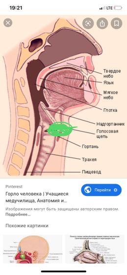 Чё такое?
