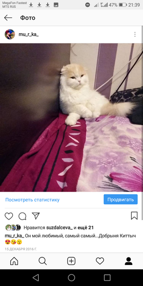 Отдам в добрые руки