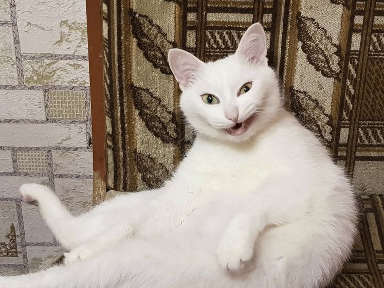 Фотоконкурсы в этом году