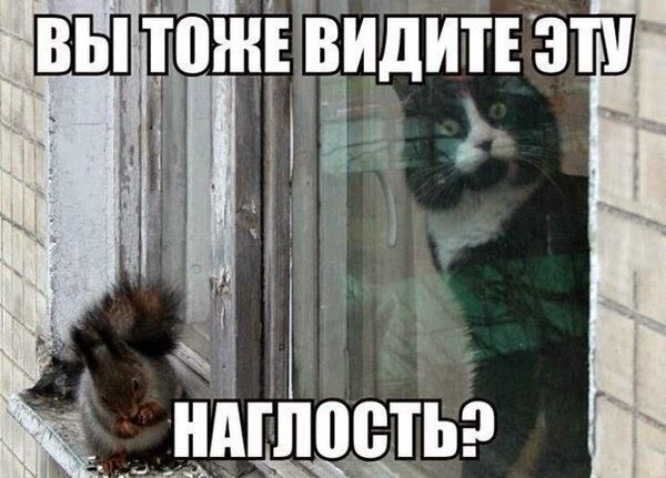 Кто же ?