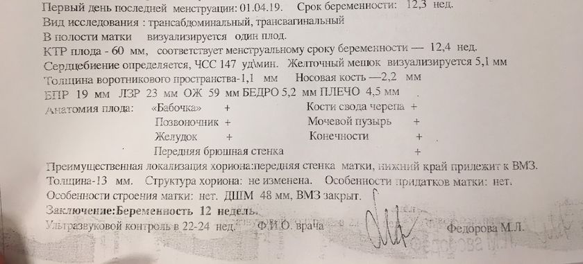 Диванные эксперты😎