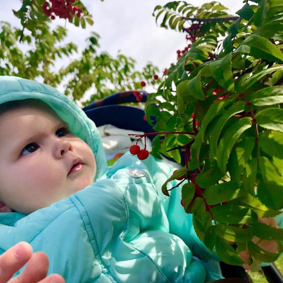 Немного осени в ленту 😘🥰