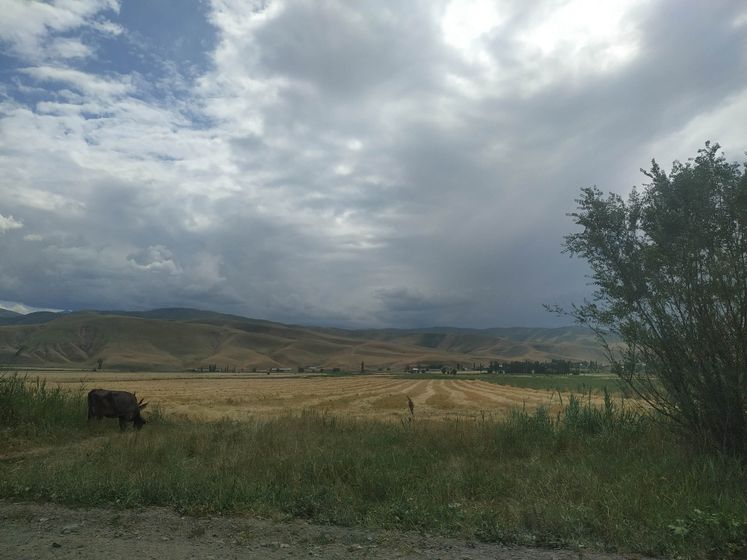 Прокатились, отдохнули