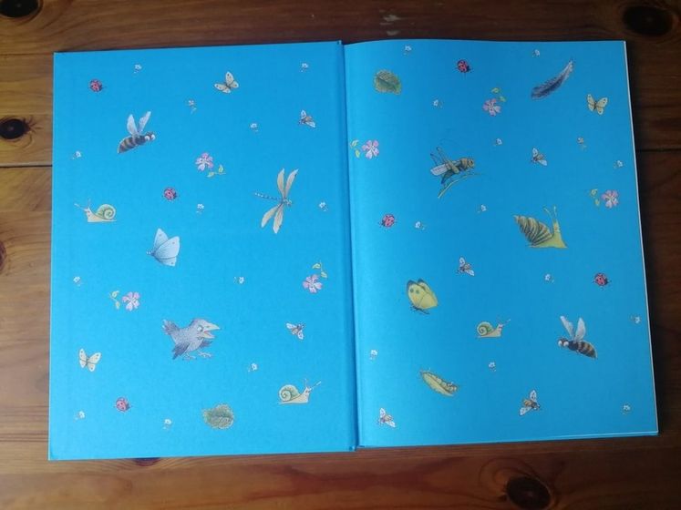 Отзыв от Белки - книга