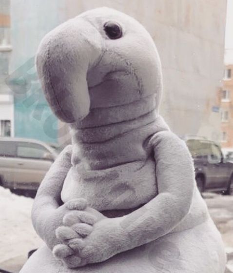 Ну привет 37 недель ✌️?