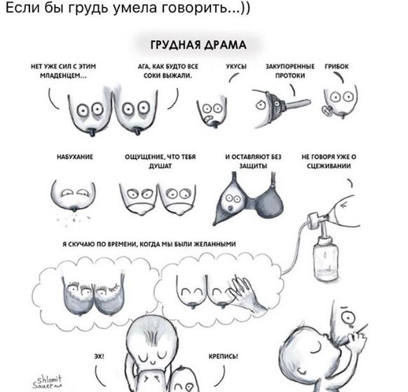 Жизнь груди ГВ-шки
