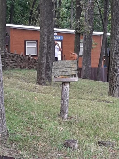 Люблю лето.