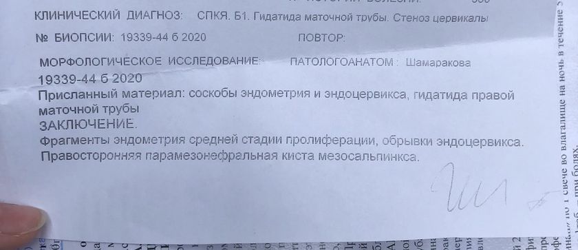 Гистология. Кто разбирается?