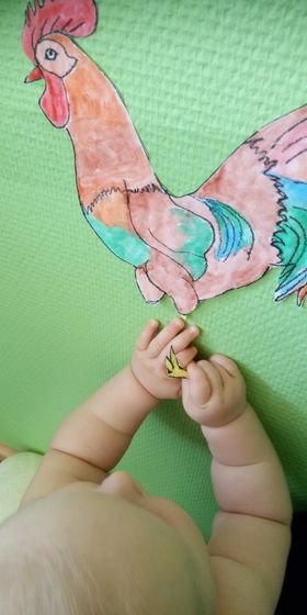 Время моему импровизированному зоопарку
