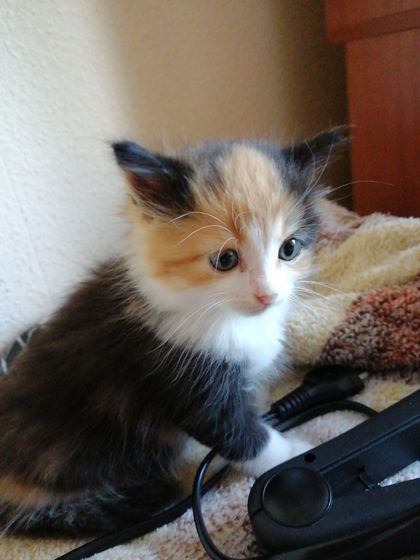 Новый член семьи😘💋😍