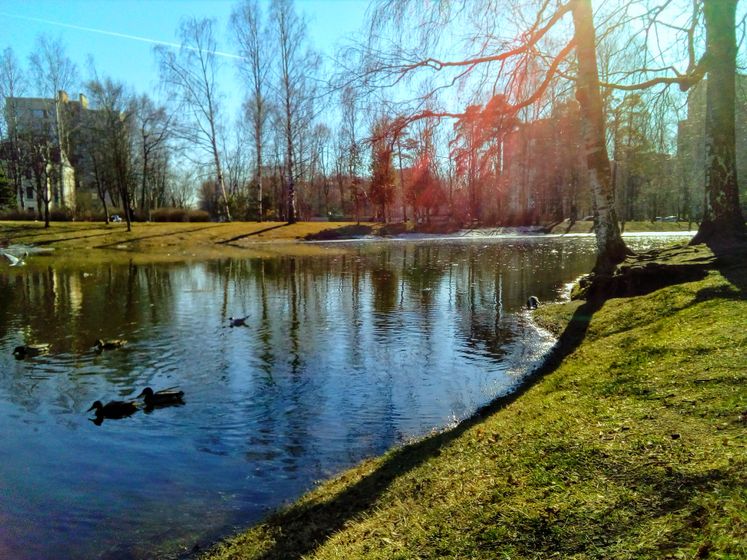 Погода Спб + 10⛅