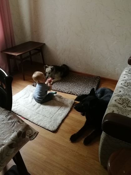 У нас совещание:)
