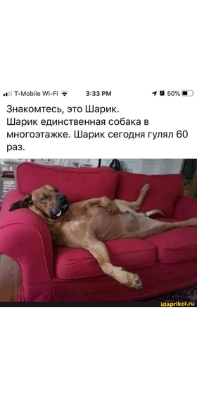 Ну, дождались...