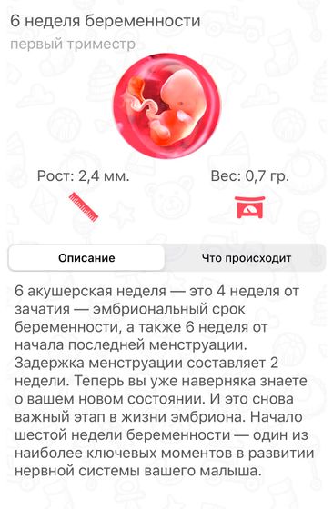 Началась 6 неделя❤️