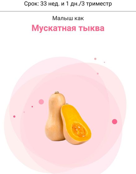 ❤ 33 недели