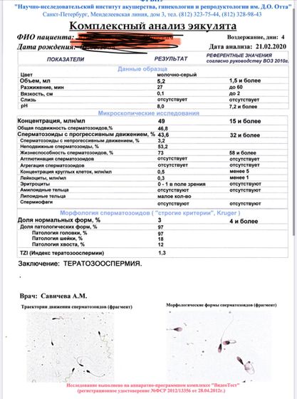 Тератозооспермия (подготовка к Эко). Клиники спб ?