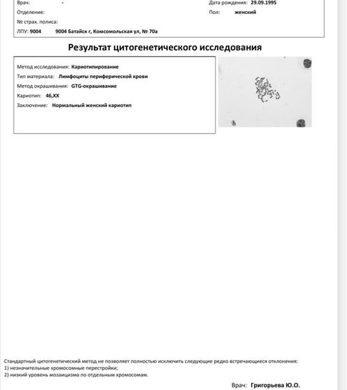Кариотип