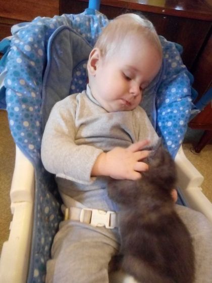 Завели сыну котика ?