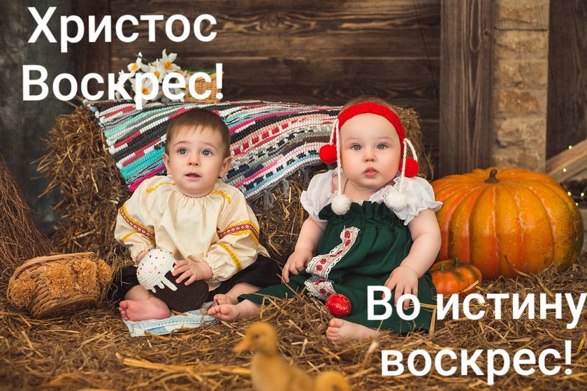9 месяцев Елизавете