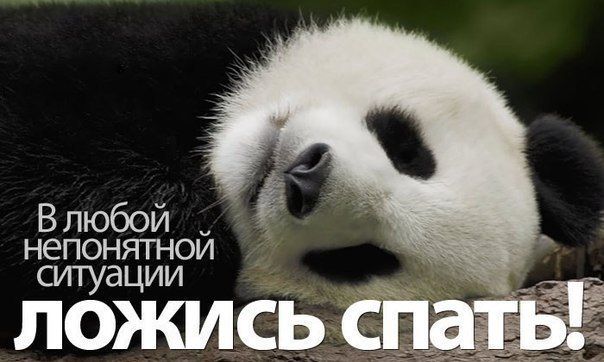 На все наспать