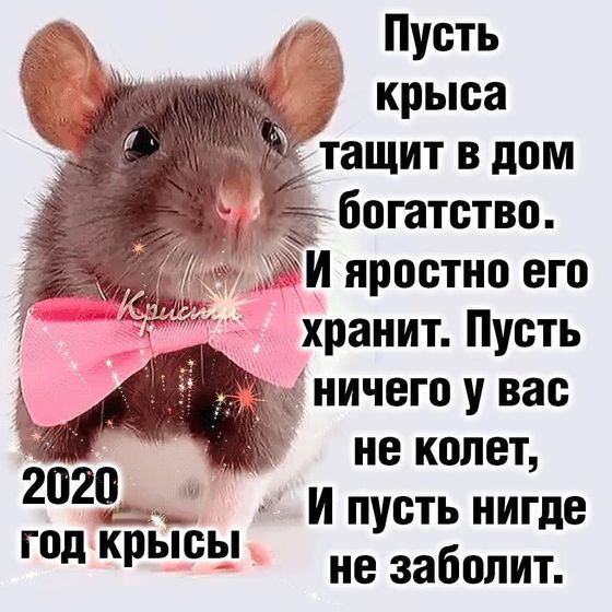Самое главное ??