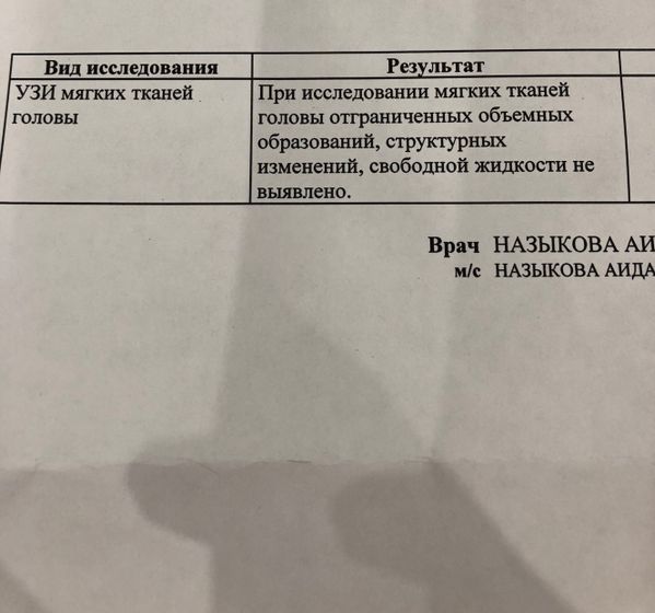 Мы приехали в Лапино