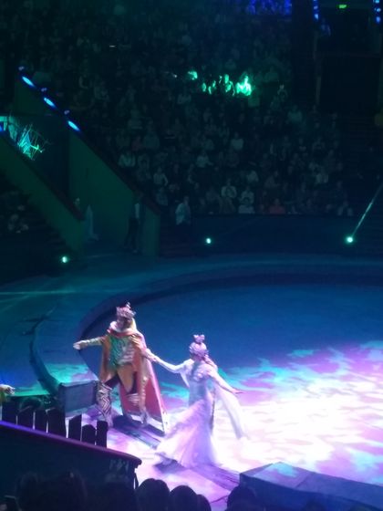 Календарь ожидания нового года, 2019. День 17-20.