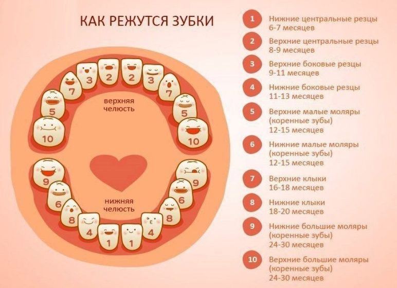 Зубы ?