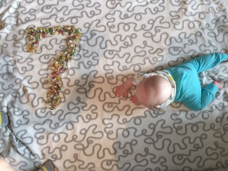 7 месяцев