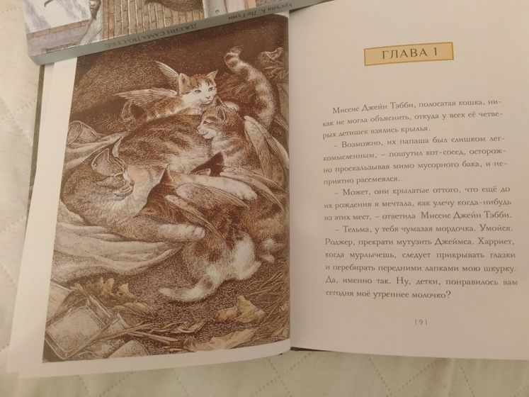 Крылатые кошки Урсулы Ле Гуин (книги)