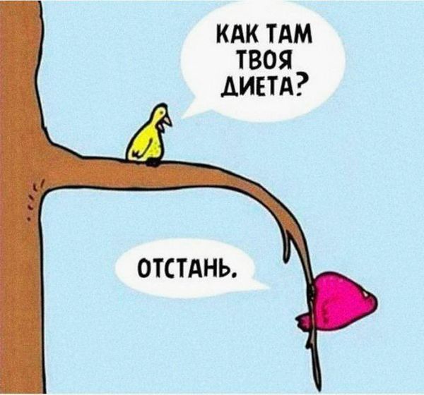 Боди позитив или самобичевание?