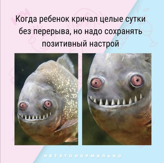 И так каждый вечер