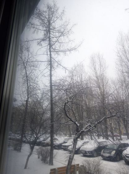 Ну, дождались...