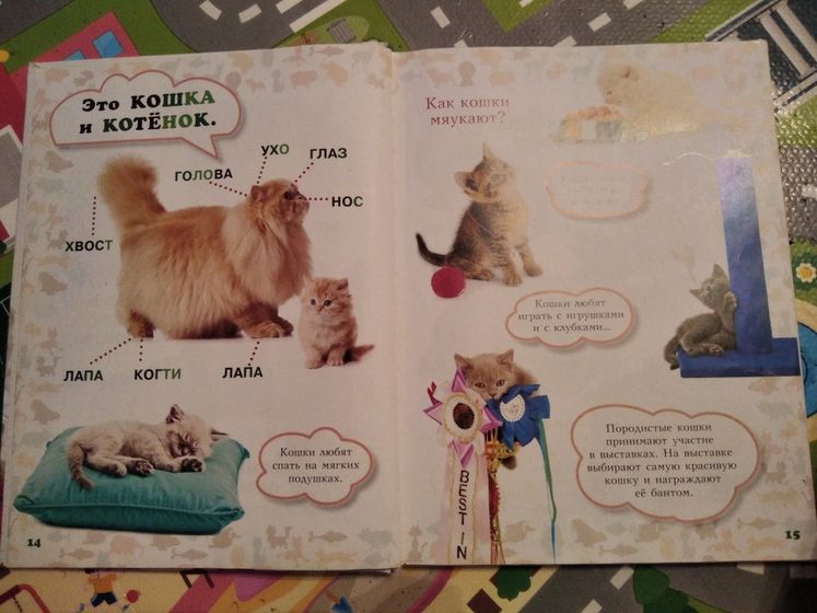 Тематическая неделька 