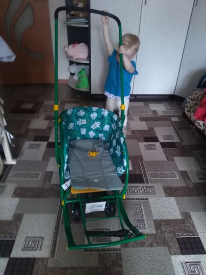 Купили санки Ника