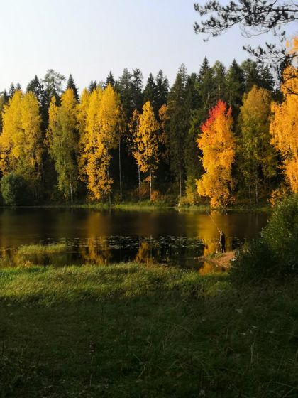 3 месяца
