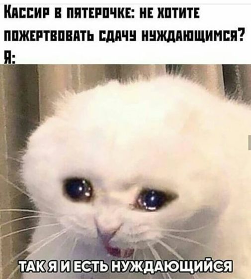Фотография 2019-12-29 12:16:43