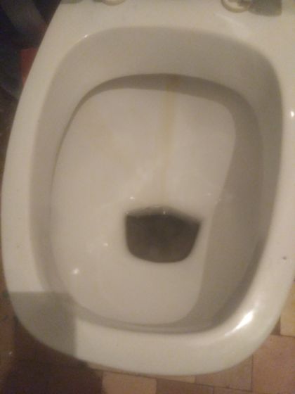 Отмыла унитаз...
