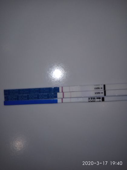 Мои тестики на 26дц,