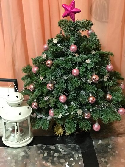Ёлочка из пихты