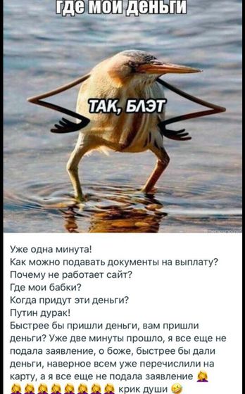 Все привет