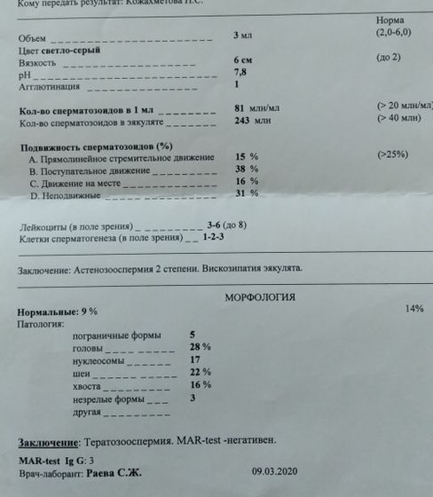 Спермограмма
