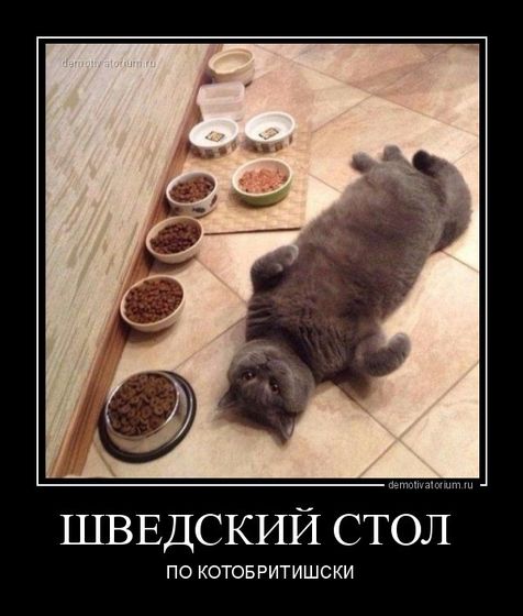 Этот ужасно вкусный шведский стол!