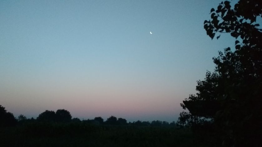Доброе утро.