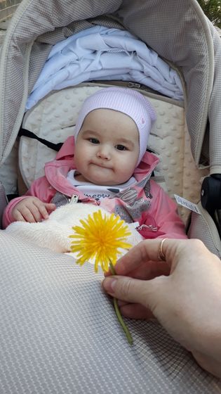 Доброе утро/день