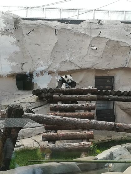 Поход в зоопарк