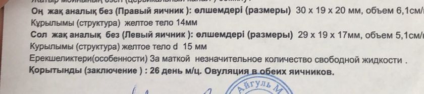 Девочки произошла двойная овуляция,