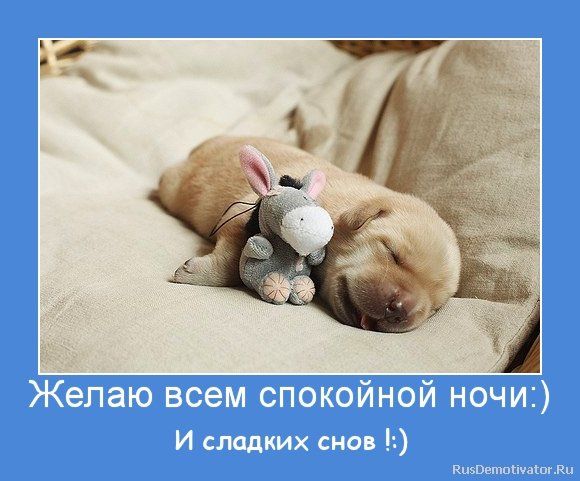 Всем спокойной ночи!!!😍